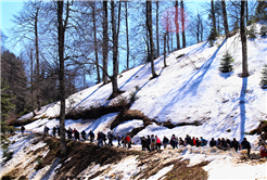 Doğaseverler Büyükyayla’daydı