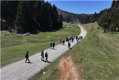 İnönü ve Ercova yaylaları tüm güzelliğiyle doğaseverleri ağırladı