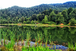 Sakarya’da doğa tutkunlarının beklediği takvim geldi: Baharı muhteşem manzarayla karşılayacaklar…