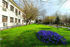 Sakarya’da baharın büyüleyici cümbüşü