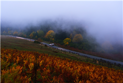 Yaylalardan longoz ormanlarına: Sakarya’da doğayla iç içe sonbahar