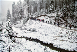 Yılın İlk Karı Eşliğinde Yürüdüler