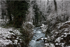 Beyaz örtü Sapanca Gölü’nü besleyen derelere can oldu
