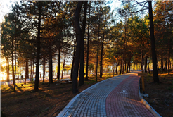 Sapanca Gölü kıyısında ‘huzur veren’ doğa projesi kapılarını açtı