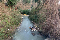 Sapanca’yı besleyen dereler temiz akıyor