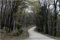 İl Ormanı Tabiat Parkı doğaseverlerin yeni gözdesi olacak