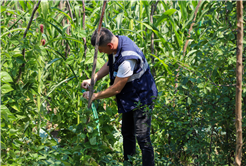 Kesintilere neden olan kaçak kullanımı engellemek için ekipler 24 saat sahada