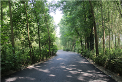 Büyükşehir’den 5 ayda 136 bin 397 ton asfalt