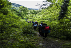 Doğaseverler Sapanca’daydı