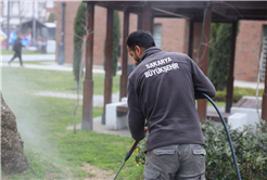 Sakarya bayram için Büyükşehirle çiçek açtı: Bayramı da baharı da rengarenk karşılıyor