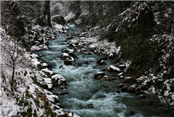 Beyaz örtü Sapanca Gölü’nü besleyen derelere can oldu