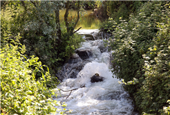 Çiftçilerin yüzü gülüyor