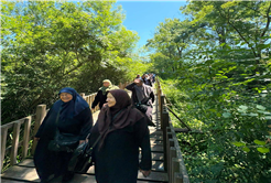 Yaşlılar gününde YADEM’den güçlü mesaj: 16 ilçede yaşlılarımızın yanındayız