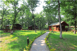 “İl Ormanı Tabiat Parkı ile vatandaşlar doğanın en güzel haliyle buluşacak”