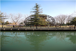 Sapanca Gölü yükselmeye devam ediyor