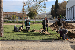  “Söğütlü Ritim Park’ta çalışmalar yüzde 80 seviyelerine ulaştı”