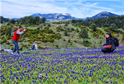Taraklı’da Bahar Yürüyüşü