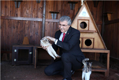 “Büyükşehir Belediyesi 17 bin metrekarelik Rehabilitasyon Merkezi ile sokakta yaşayan canlılara yuva olacak”