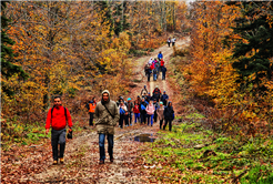 Doğa Tutkunları Taraklı’da Yürüyecek
