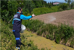 Vektörlerle mücadele ve ilaçlama aralıksız sürüyor
