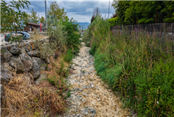 “Gölün mevcut durumunda farklı şehirlere su aktarımı mümkün değil” 