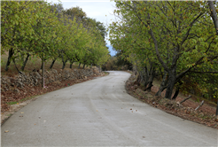 Kırsal mahalleler beton yol ile buluşuyor