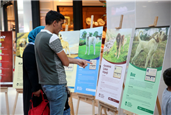 Büyükşehir ekipleri çocuklarla buluştu Pati Festivali renkli görüntülere sahne oldu