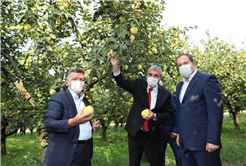 “Dünyanın ayvasını şehrimiz üretiyor”