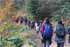 Sonbahar Doğa Yürüyüşleri sona erdi