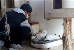 Büyükşehirle unutulmaz bir gün: Can dostların yaşam serüveni, bir yudum suyun önemi ve maceraya yolculuk