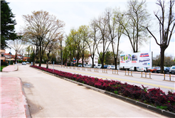 Sakarya’da baharın büyüleyici cümbüşü