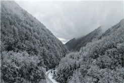 Beyaz örtü Sapanca Gölü’nü besleyen derelere can oldu