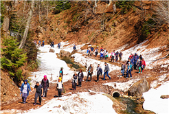 Doğaseverler Büyükyayla’daydı
