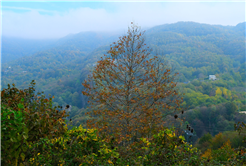 Yaylalardan longoz ormanlarına: Sakarya’da doğayla iç içe sonbahar