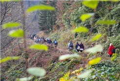 Sonbahar Doğa Yürüyüşleri sona erdi