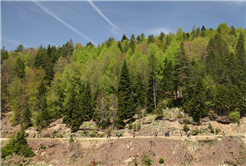 Pamukova ve Sapanca’da doğa ile iç içe yürüyüş