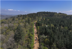 10 kilometre boyunca gördükleri her bir ayrıntıya hayran kaldılar