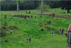 Büyük Yayla’da Yürüdüler