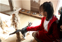 Büyükşehirle unutulmaz bir gün: Can dostların yaşam serüveni, bir yudum suyun önemi ve maceraya yolculuk