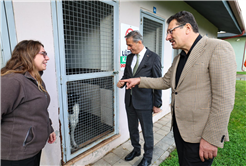 “Sokak Hayvanları Doğal Yaşam Kampüsü ile Sakarya’mız yine bir ilke imza attı”