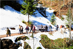 Doğaseverler Büyükyayla’daydı