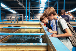 Yabancı öğretmen ve öğrenciler su arıtma süreçlerine tanıklık etti