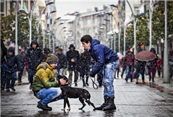 Fotoğraf Yarışmasında Sonuçlar Açıklandı