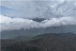 Doğada en güzel keşif yine Büyükşehirle başladı: Kıranyurt’ta baharın büyüleyici görüntüsü 