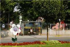 Şehrin doğal güzellikleri vitrine çıktı