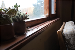 Evi görünce terk etmeyi düşündü: Binlerce kokarcanın istila kabusunu TUTSAK bitirdi