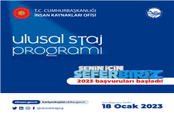 Ulusal Staj Programı