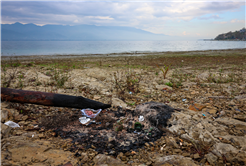 Sapanca Gölü kıyılarında ekosistemi koruyan temizlik çalışması sürüyor