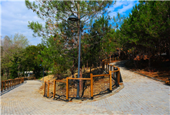 Sapanca Gölü kıyısında ‘huzur veren’ doğa projesi kapılarını açtı