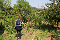 Kesintilere neden olan kaçak kullanımı engellemek için ekipler 24 saat sahada